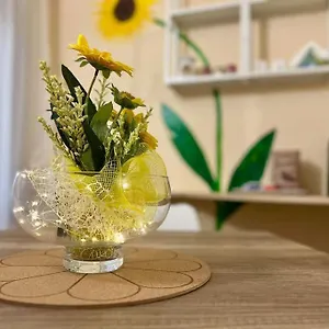 Il Girasole Appartamento Calcinaia